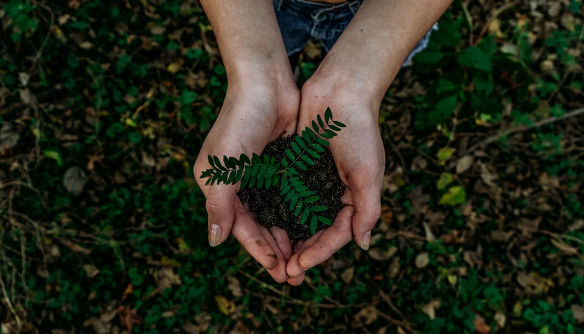 Sustainable Solutions - BAUM